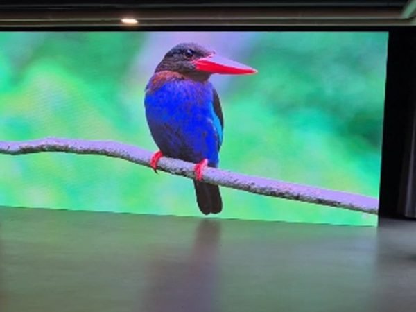 Germany Outdoor P2.6 Rental LED Screen